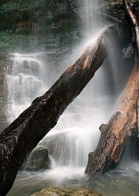 Cascata e tronco